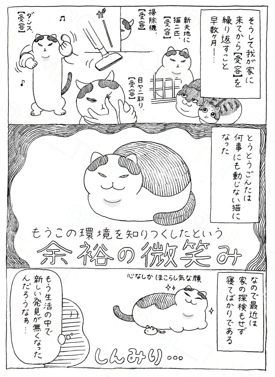 オイル富🪤 tweet media