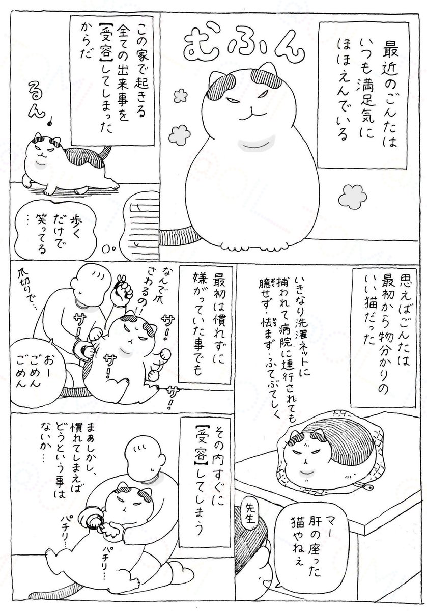 オイル富🪤 tweet media
