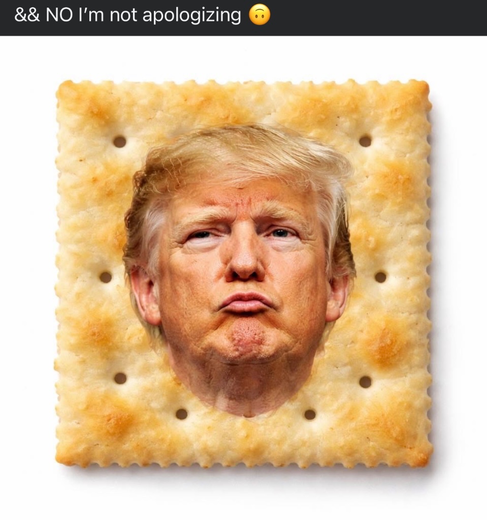 your mother tweet media