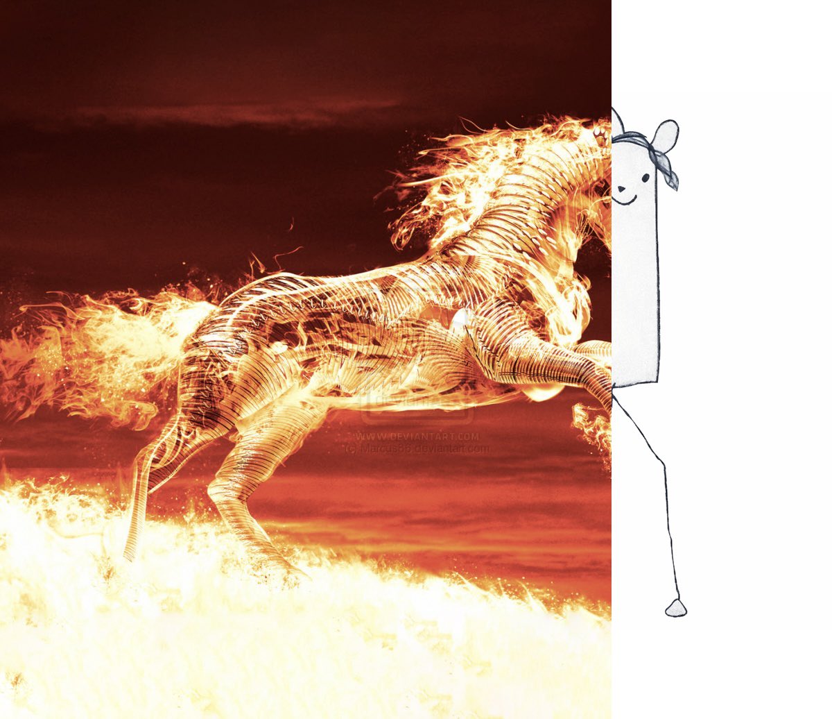 NFLMemes's tweet image. The Patriots season