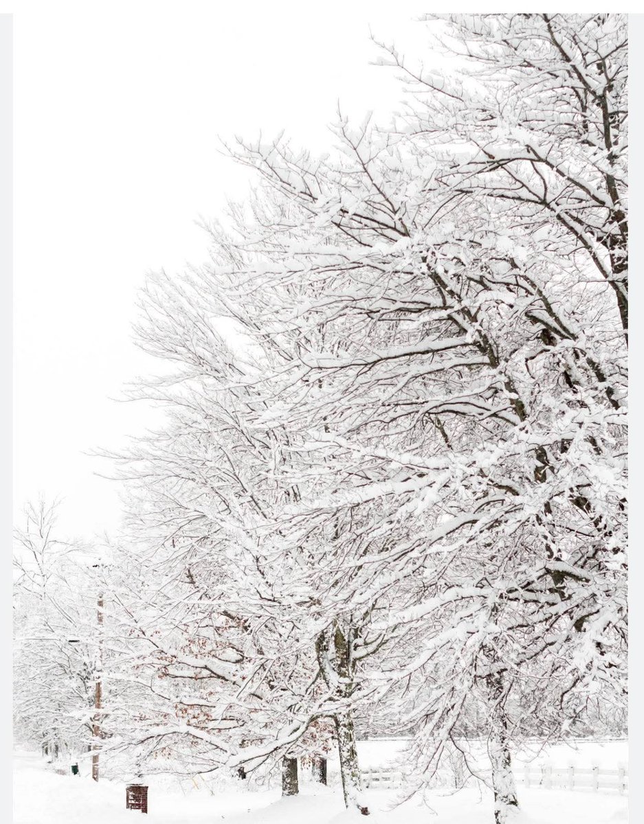 winter wonderland here