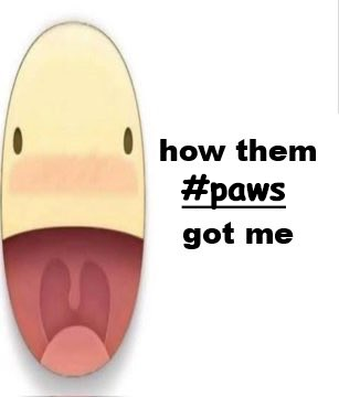 MayorDonavan's tweet image. 