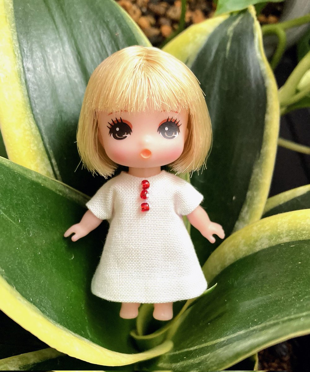 rokuichidoll's tweet photo. ぷちリカちゃん
もうすぐ発売なのでワクワク😍
みつごちゃんと同じボディだと思うので、シンプルワンピースを作って心待ちにしています🥰

それにしてもボディがちっちゃい！
手がつりそう💦 https://t.co/wmqGxRdc41