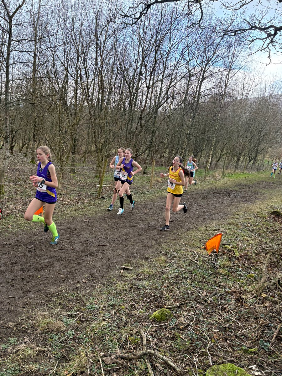 Wellfield Middle School tweet media