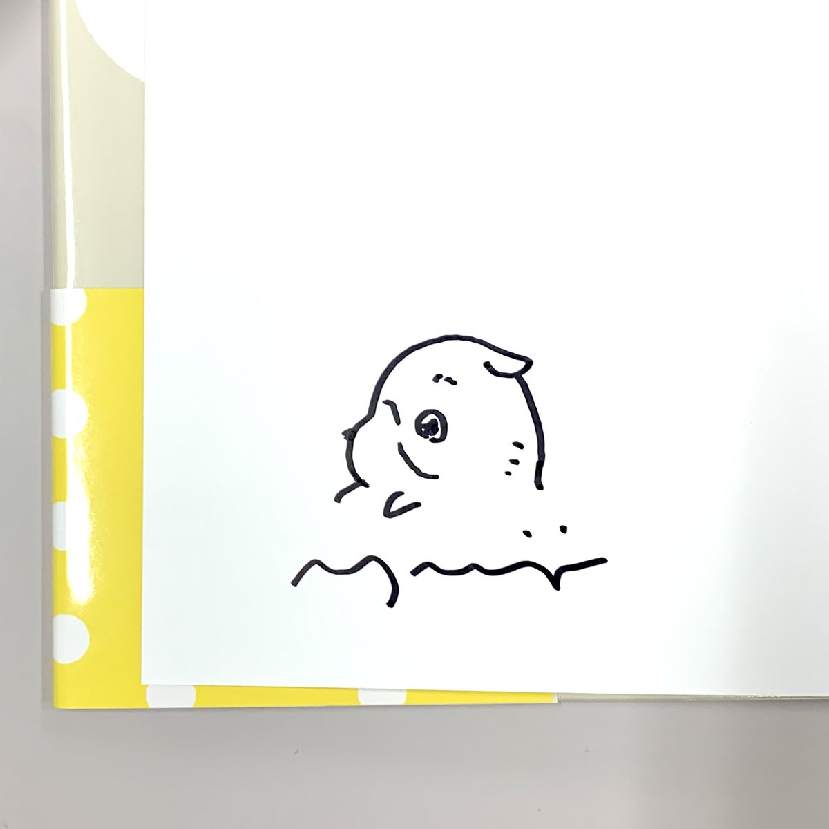 いよいよ明後日【11日午後20時より】 #はせがわゆうじ先生 の特製