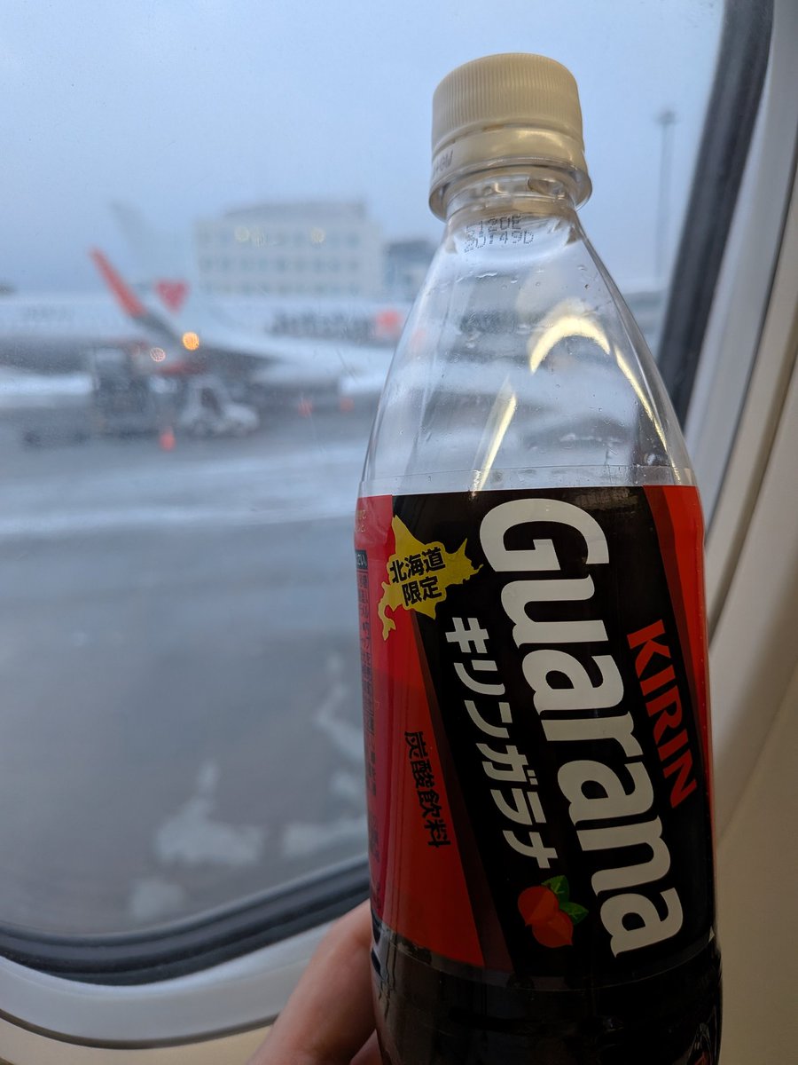 えちごやページ 今度こそ搭乗。またね北海道。