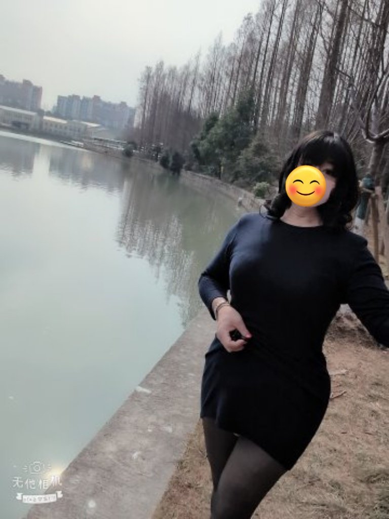 可以看的彎彎的河道與筆直的杉樹林。