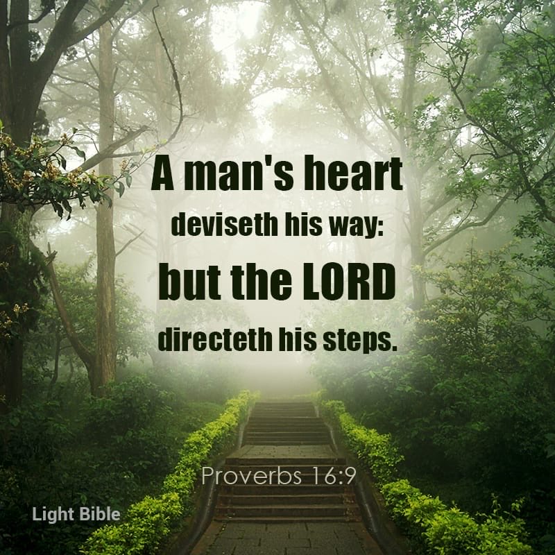 Dear God, I commit all my plans, dreams, and aspirations this week into your hands. These are only products of my thoughts; what I truly want is what you want for me because I know that that is what will truly be best for me. In Jesus' name, I pray. Amen.