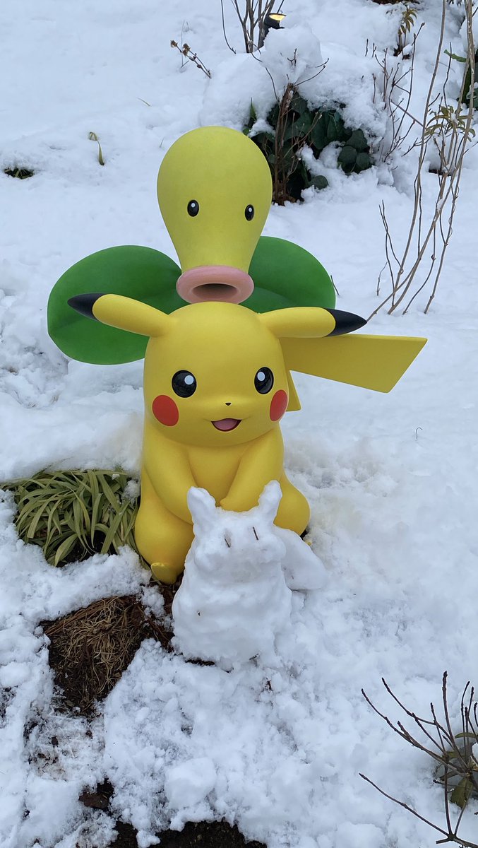 patty ♡ tweet media