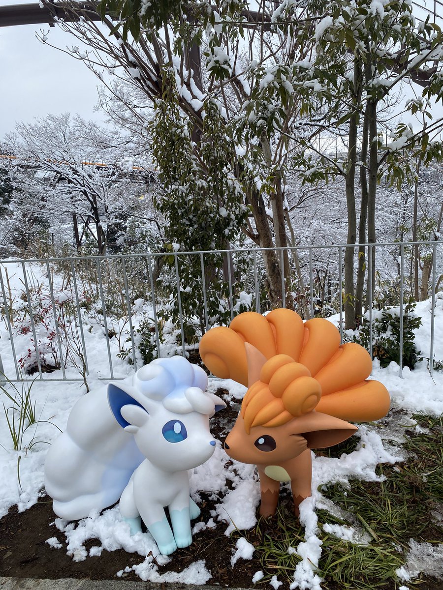 patty ♡ tweet media