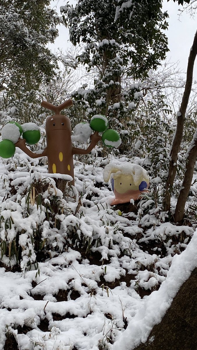 patty ♡ tweet media