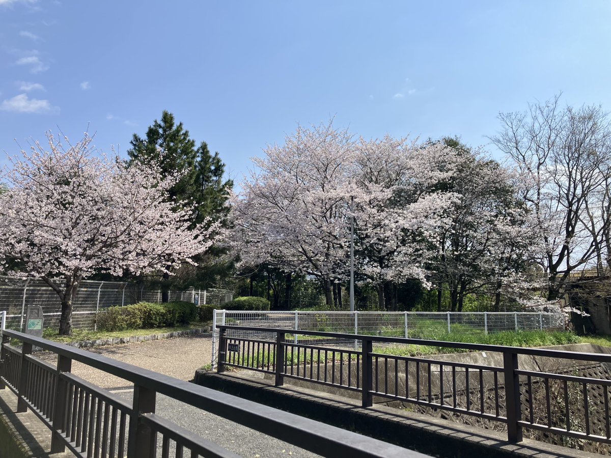 JPCC|日本コスプレ委員会 tweet media