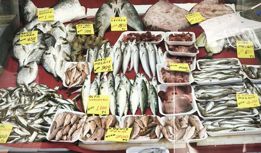 Balıkhanede Küçük Balık Ucuz, Olta Balığı Pahalı
burasicanakkale.com.tr/haber/71961-ba…