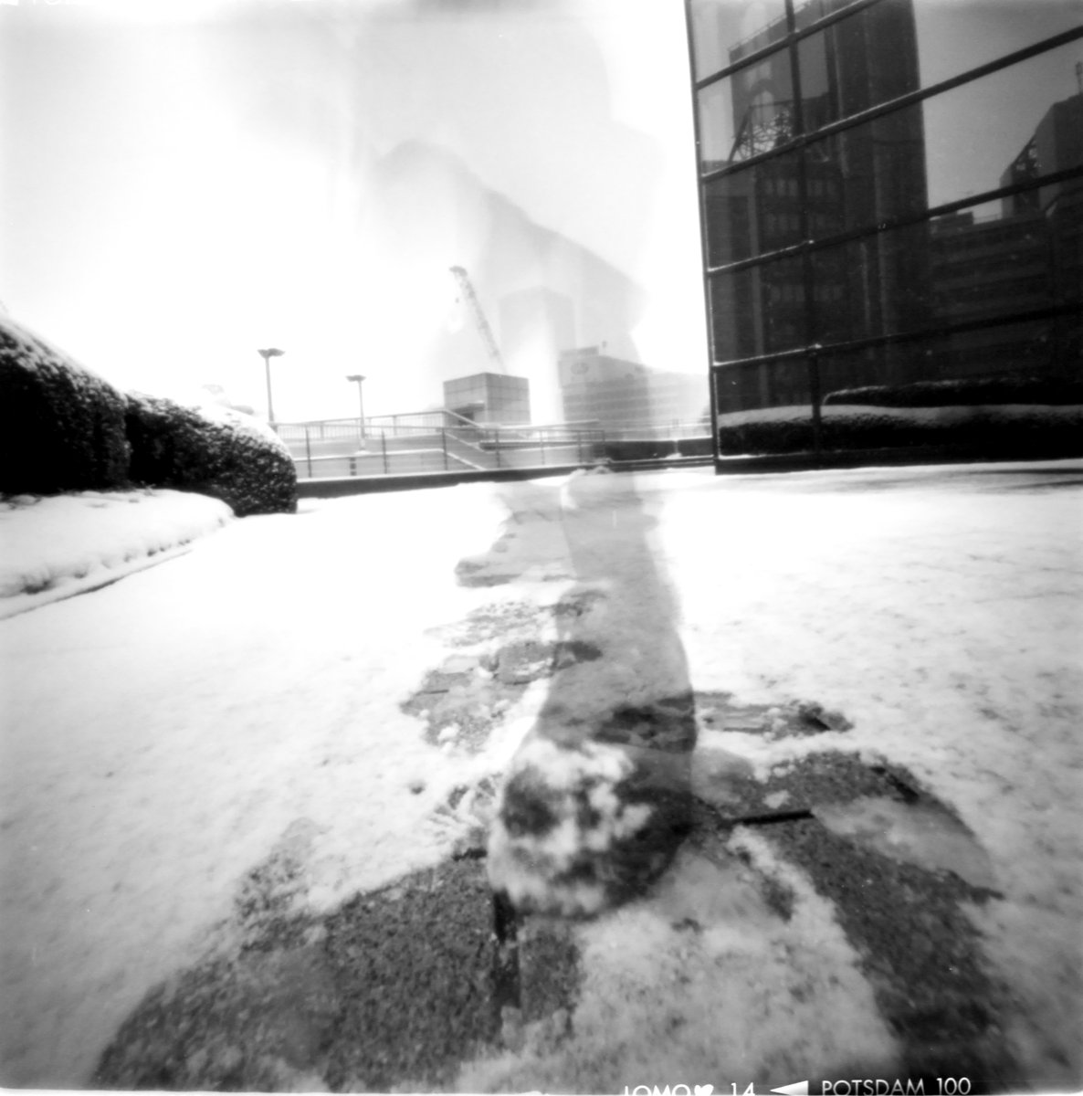 self portrait #自作カメラ 6x6