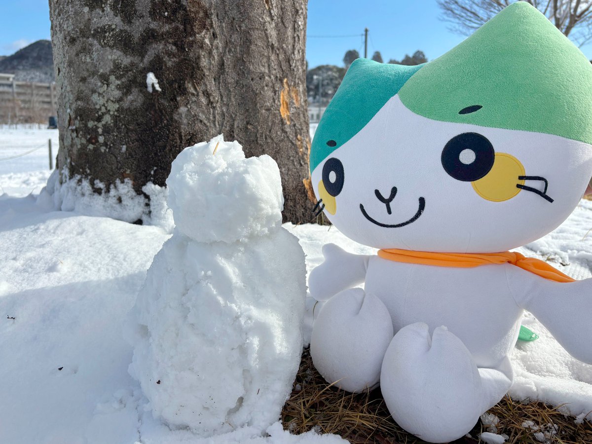 こんこんと雪が降り積もった山口市。 吉田キャンパスでは大きな