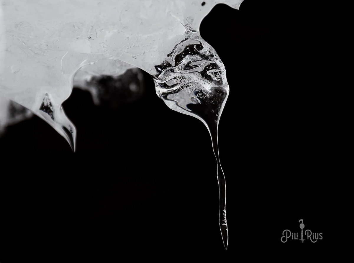 piliriuss's tweet image. Joies naturals al #pirineu #huesca @ValleBenasque @AragonMeteo