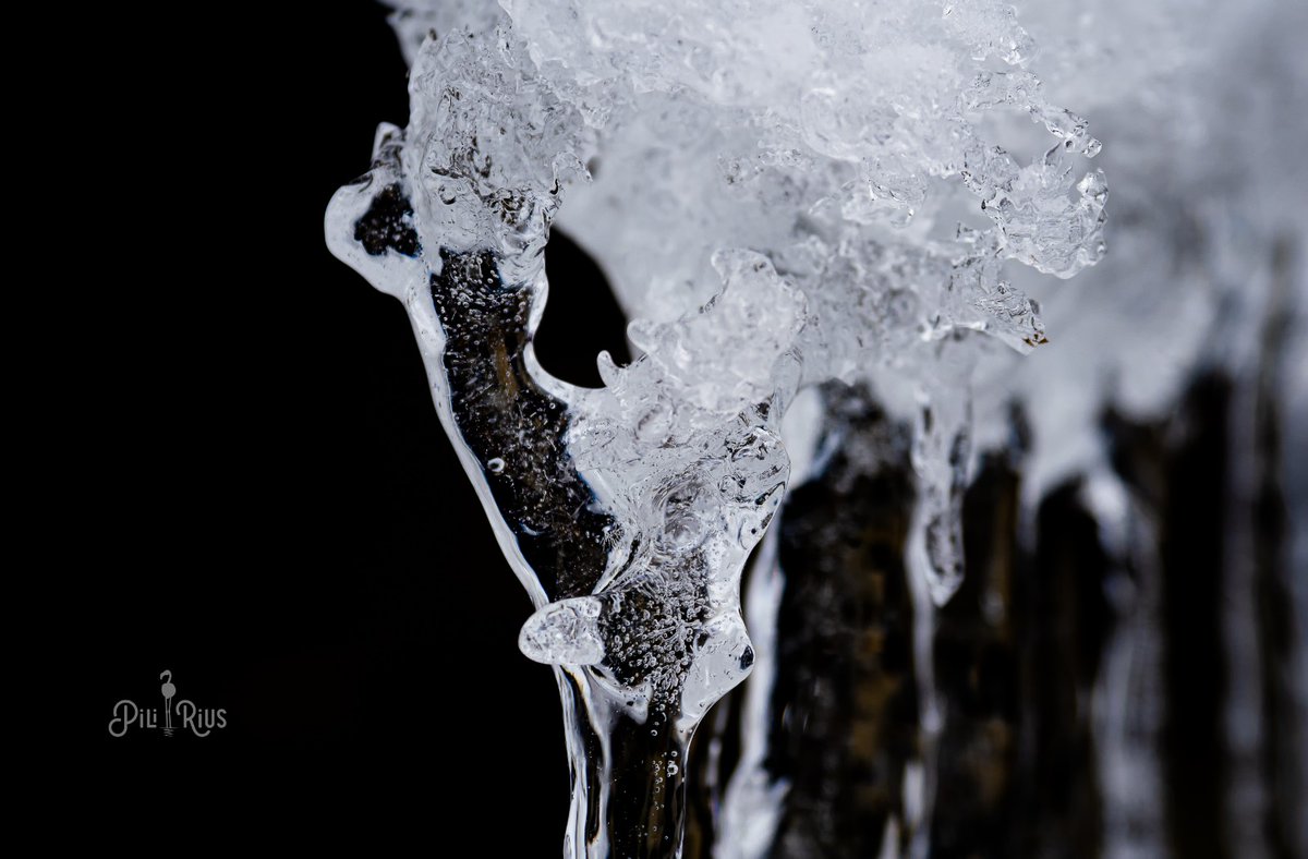 piliriuss's tweet image. Joies naturals al #pirineu #huesca @ValleBenasque @AragonMeteo