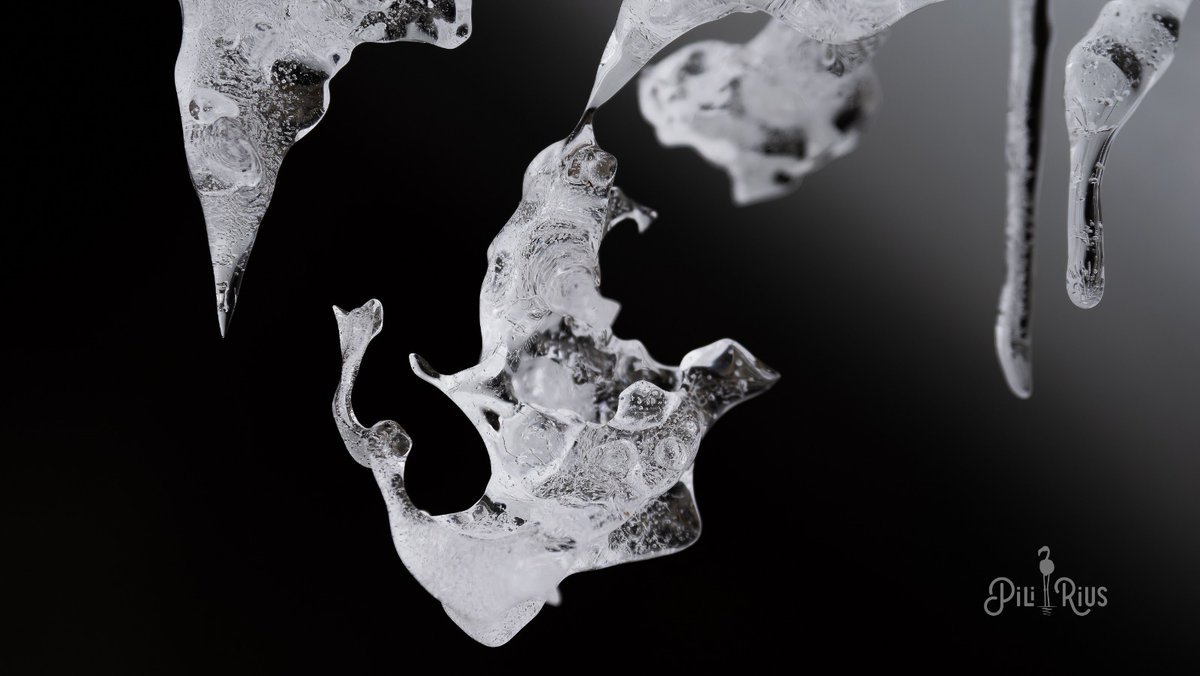 piliriuss's tweet image. Joies naturals al #pirineu #huesca @ValleBenasque @AragonMeteo