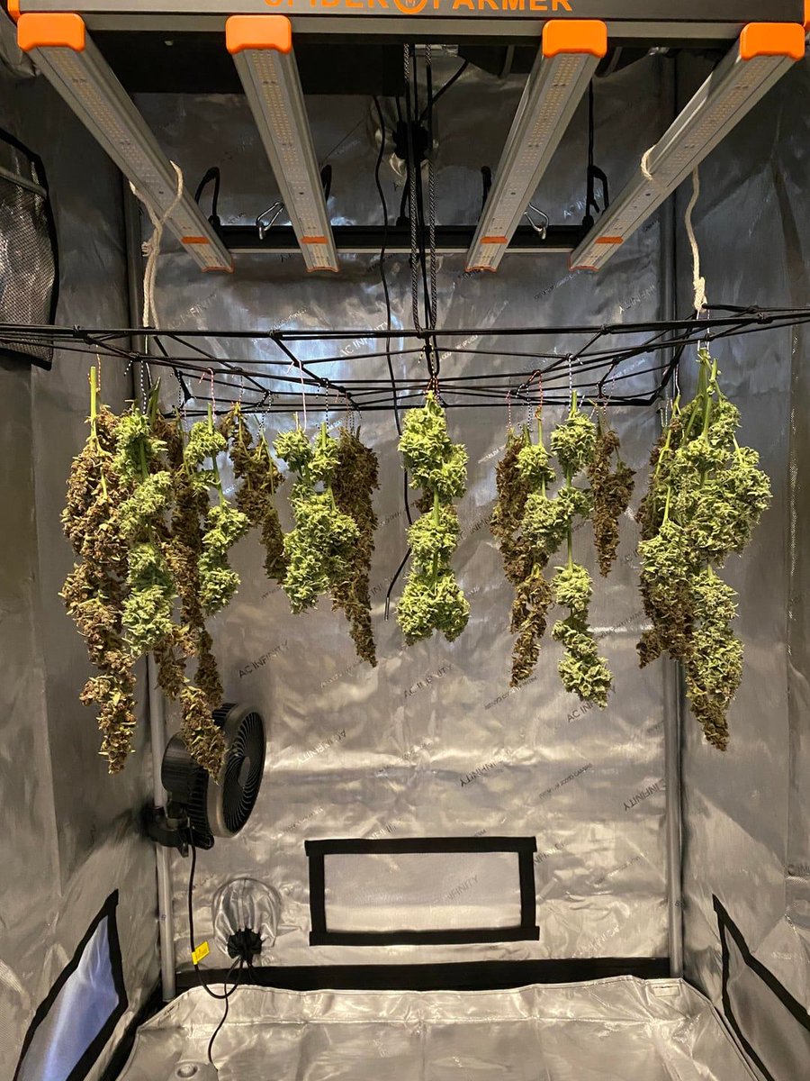 えるま (@TME3bJa9yaC7PhD) / Posts / X