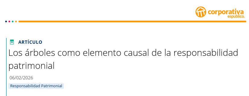 🎋 La caída o desprendimiento del arbolado es una de las causas más frecuentes de los perjuicios en el espacio público a causa del reciente temporal. Aclaramos los supuestos en los que tiene cabida una posible responsabilidad de las #EELL. n9.cl/liighs