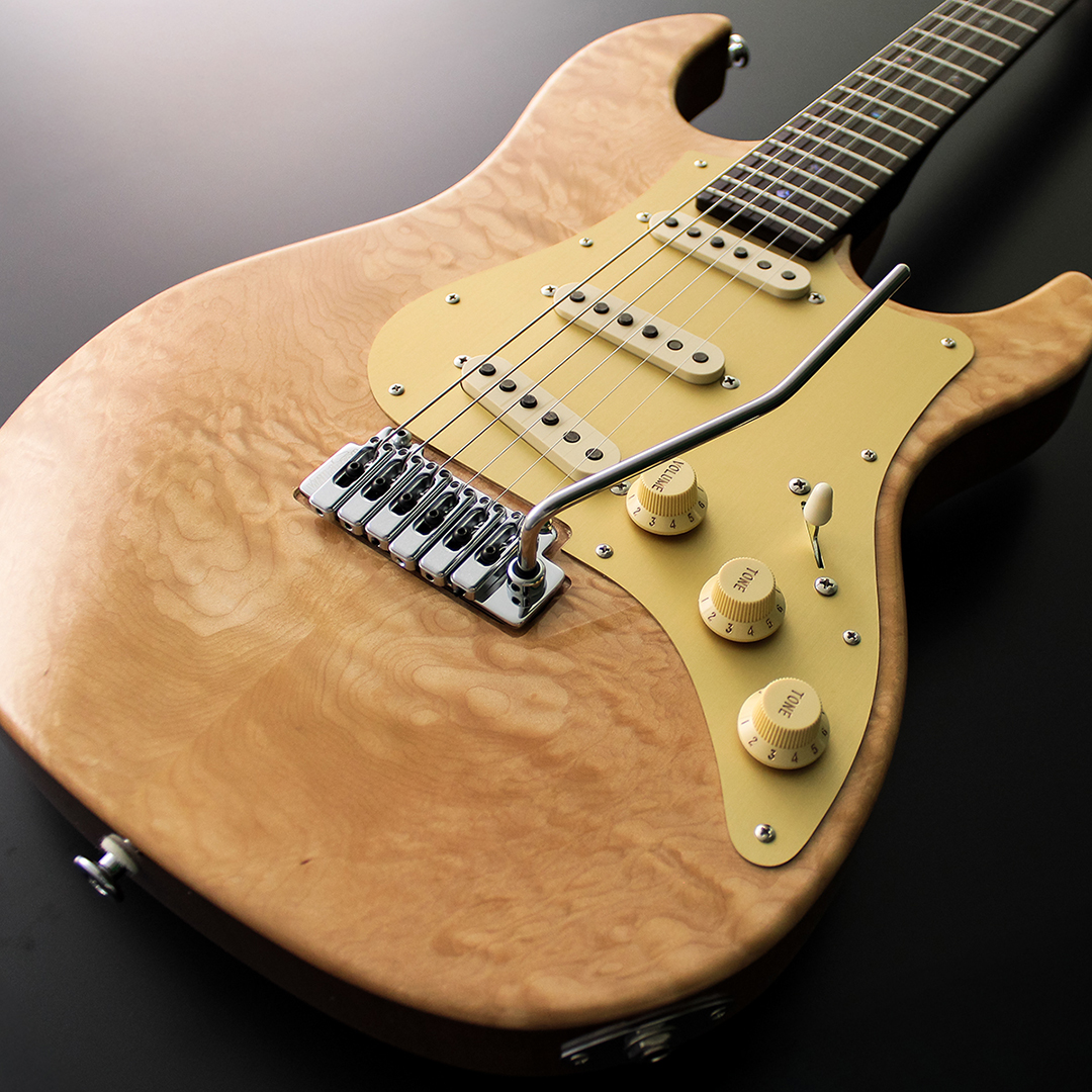 フジゲンオンラインショップ【日本のギターメーカー