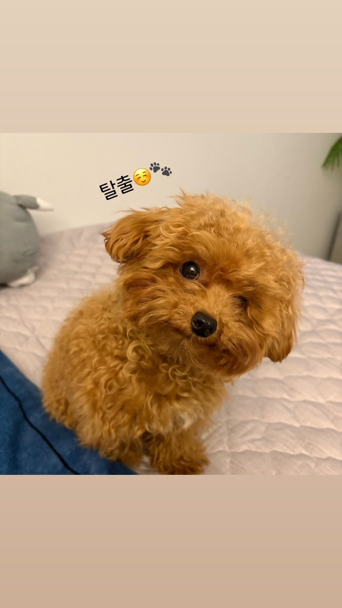 yuto_mzgc Instagram Stories

▶️ instagram.com/stories/yuto_m…
▶️ instagram.com/stories/yuto_m…
#온앤오프 #ONF #유 #U