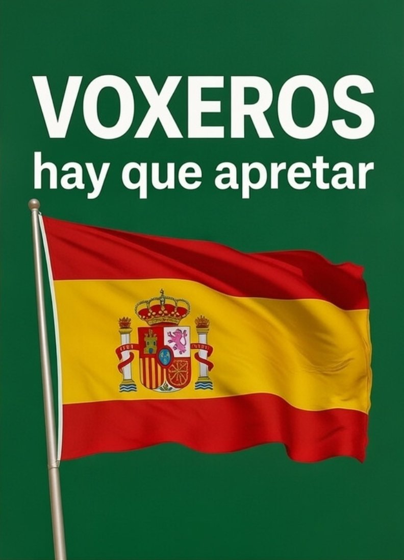 VOXEROS.....ahora vamos a por Castilla y León.....15 de marzo...NO HAY TREGUA....👏👏👏💪💪🇪🇸