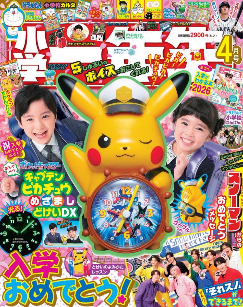 メガピカチュウ様 2026/1/31まで専用