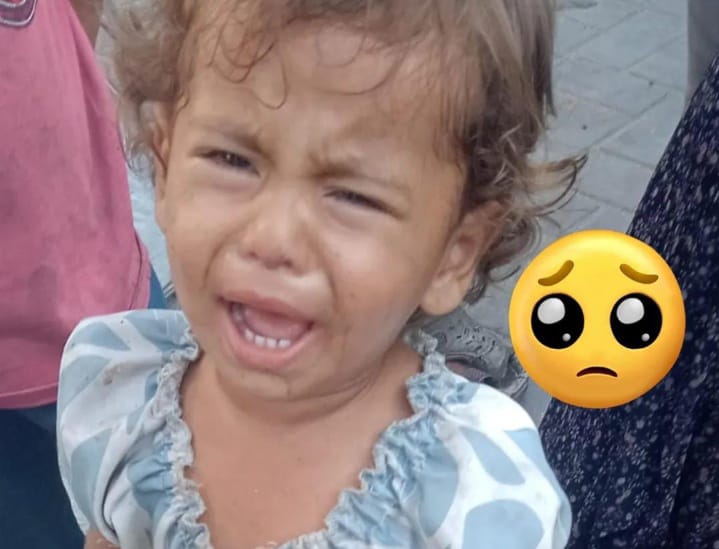 🍉*Fadi - Gaza Aid Request🍉 tweet media