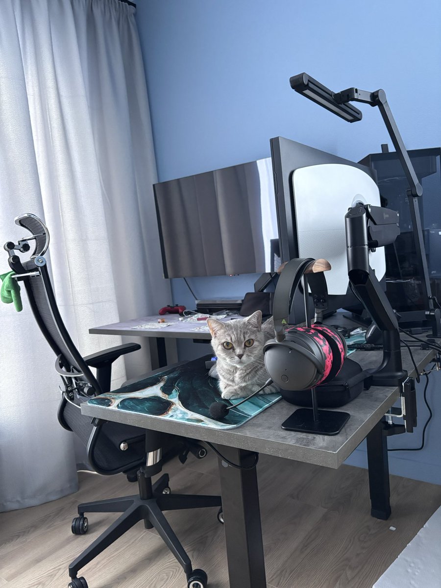 big girl with big pp tweet media