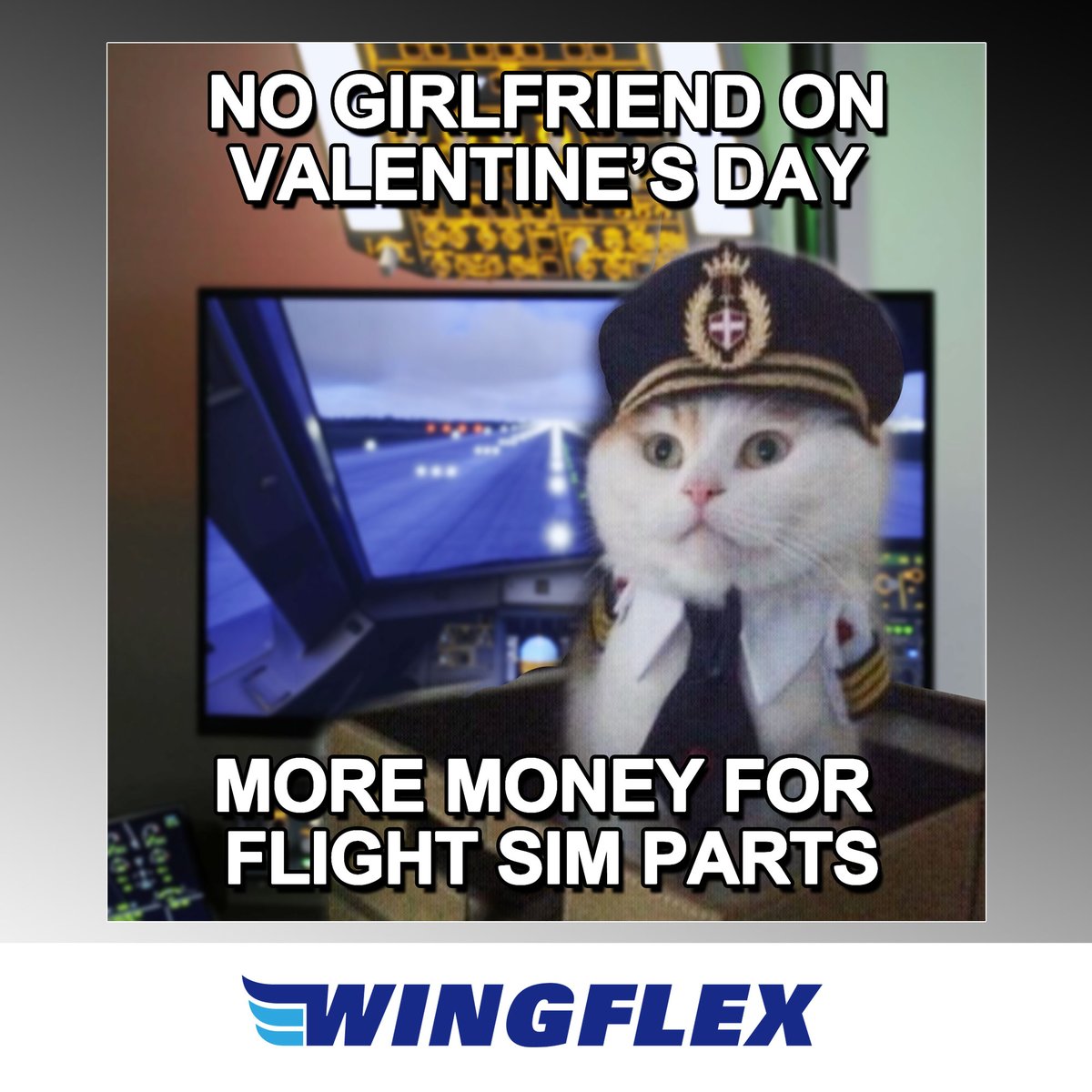 Wingflex Sim tweet media