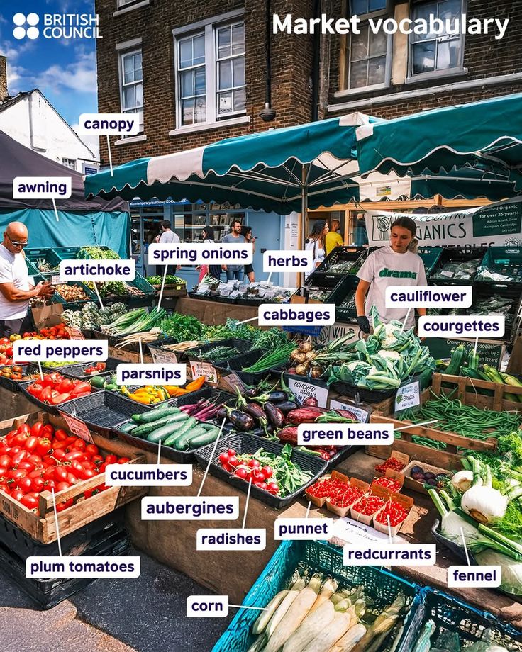 Learn spoken English (@_learnenglis) on Twitter photo 