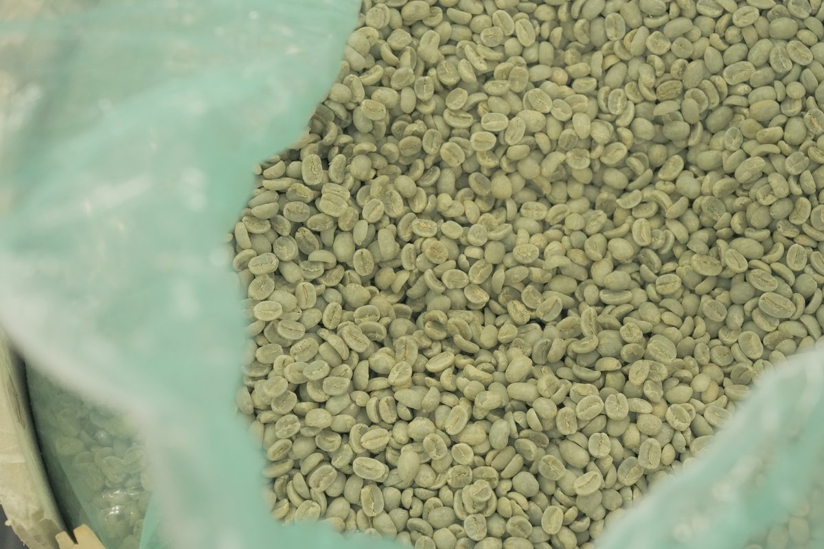 ILMIIO ROASTERY Lab.(イルミオロースタリーラボ.) tweet media