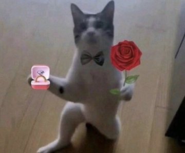 Would you....... follow me🙂🙂??