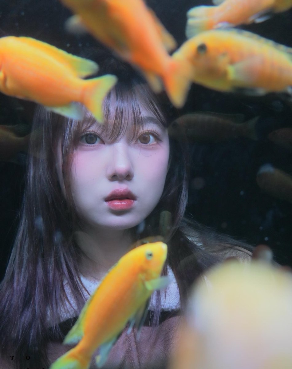 ٩(◕‿◕｡)۶

#USPEER #유스피어
#CHAEAN #채나