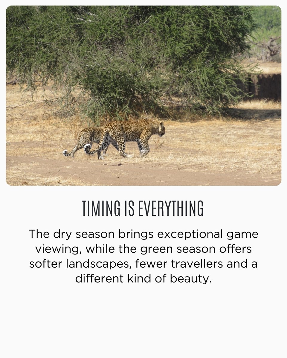 AfricanTravelCo's tweet photo. Planning a Botswana safari means space, silence and intentional travel.

→ Save this for your Botswana safari planning

#botswana #travelwithatc #africantravelconcept #atc https://t.co/IxSEiZadM4