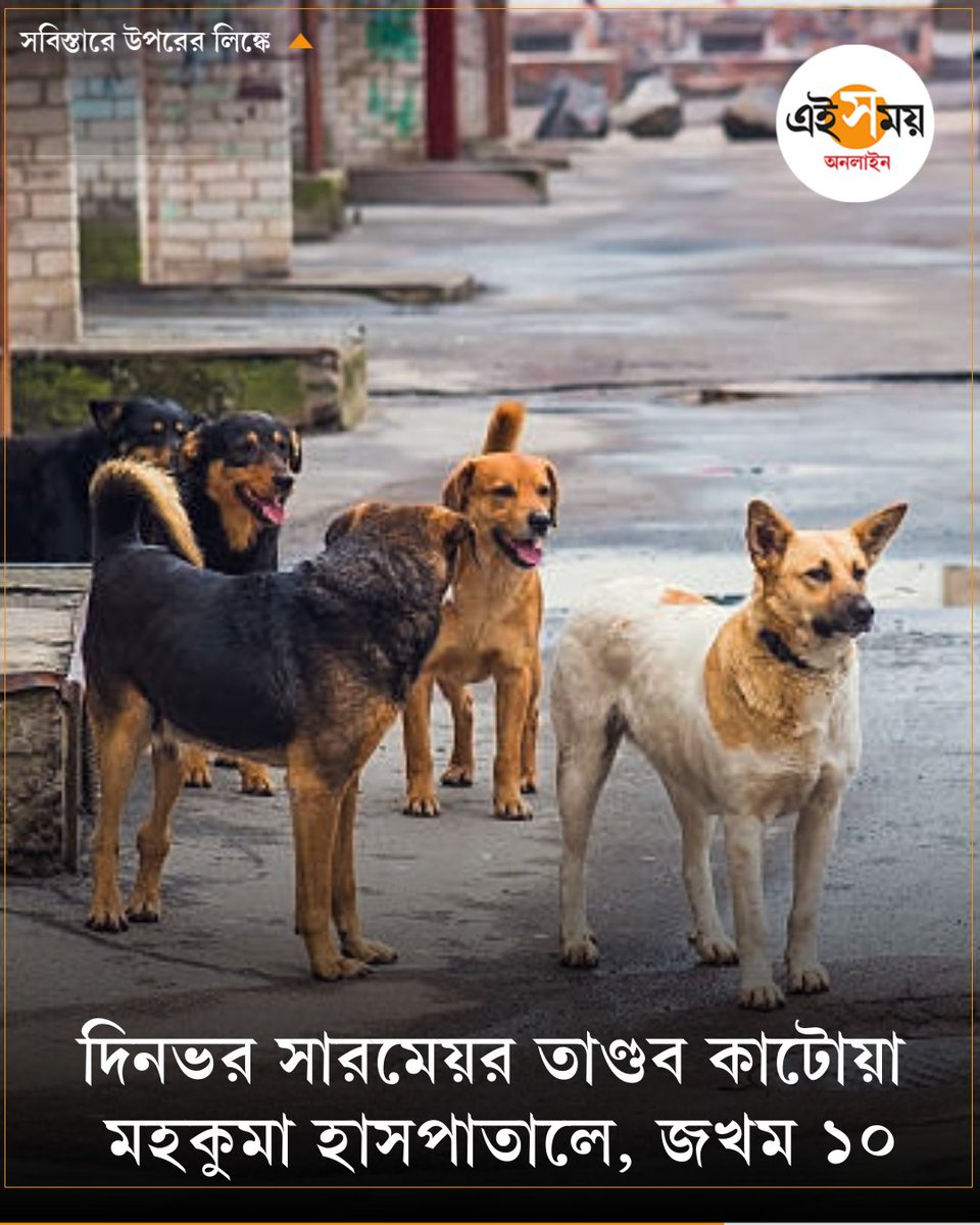 Ei_Samay's tweet image. রবিবার দিনভর কাটোয়া মহকুমা হাসপাতালে চারটি কুকুরের তাণ্ডব
➡️ eisamay.com/west-bengal-ne…

#WestBengalNews #straydogs #dogattacks #eisamayonline #EiSamay