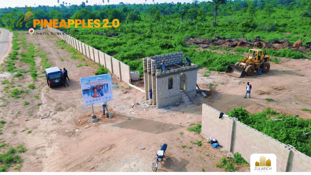 M∆£STRO tweet media