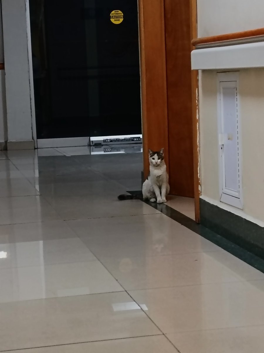Invitado especial en el hospital