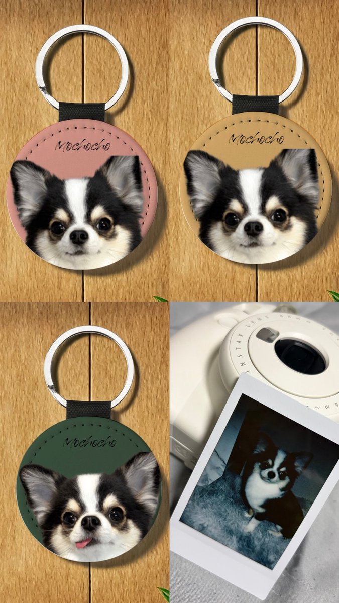 TikTok配信でもちょちょのグッズが当たるイベントが今日からだよ〜✨

チェキは明るいフィルムも買い足して数量8に増量しました☺️

送る時の封筒にもちょの肉球スタンプもつくよ🐾