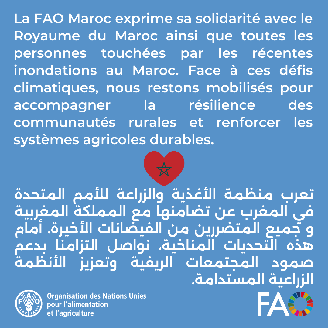 FAO au Maroc tweet media