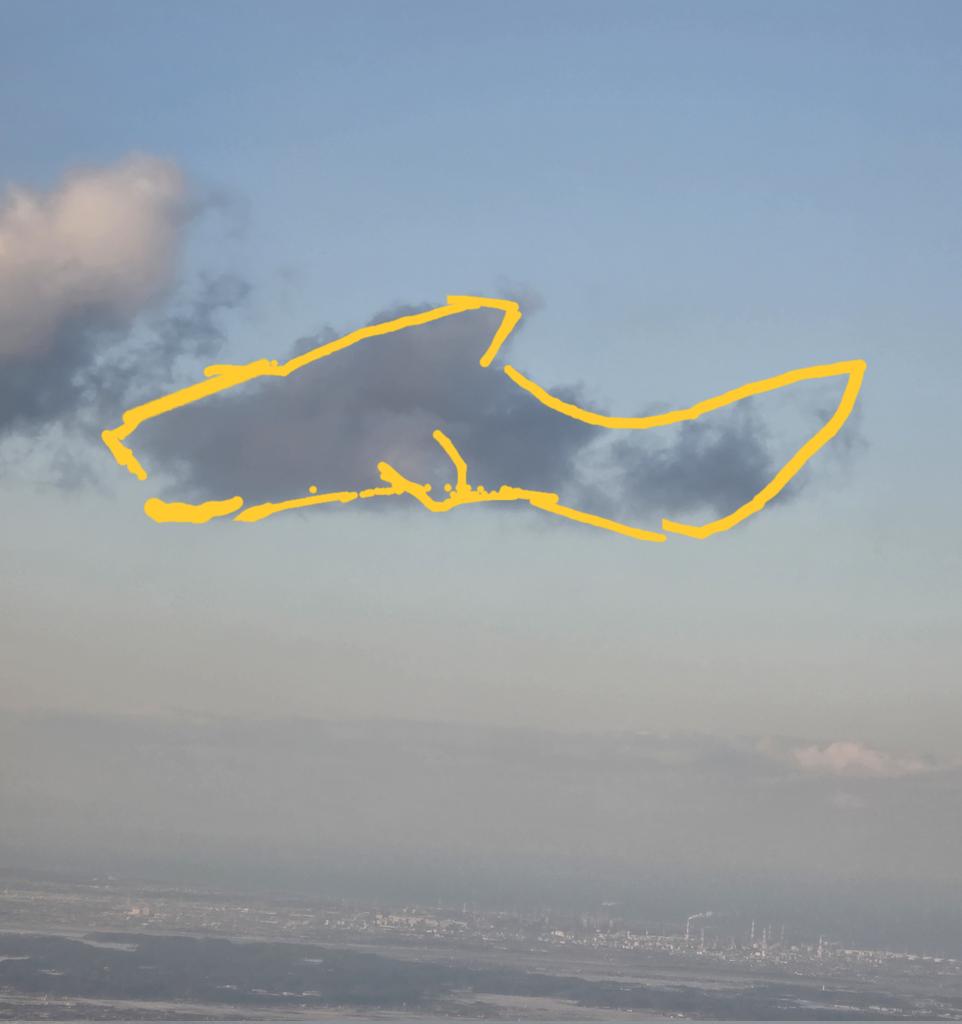 RH_Gemini's tweet image. 그리고 오는 길에 상어구름 봐써