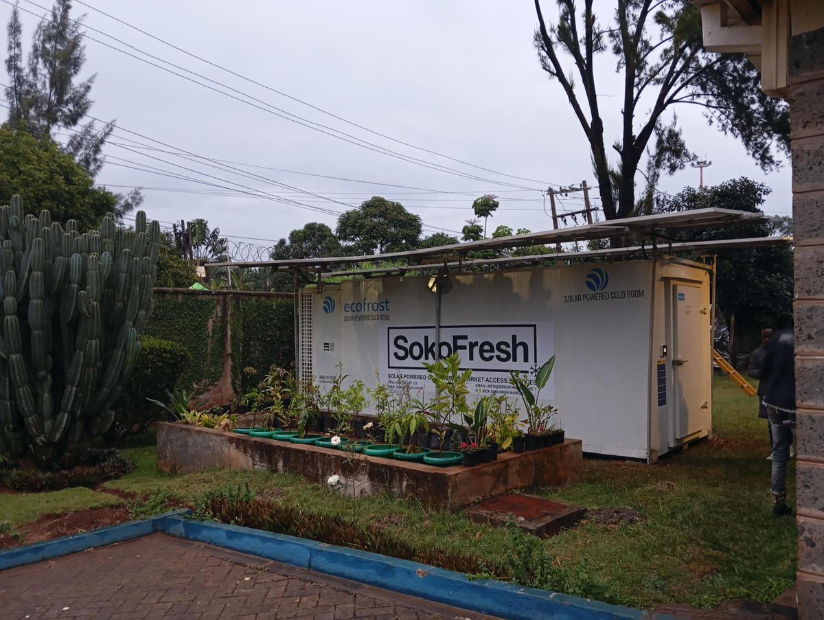 SokoFresh™ tweet media