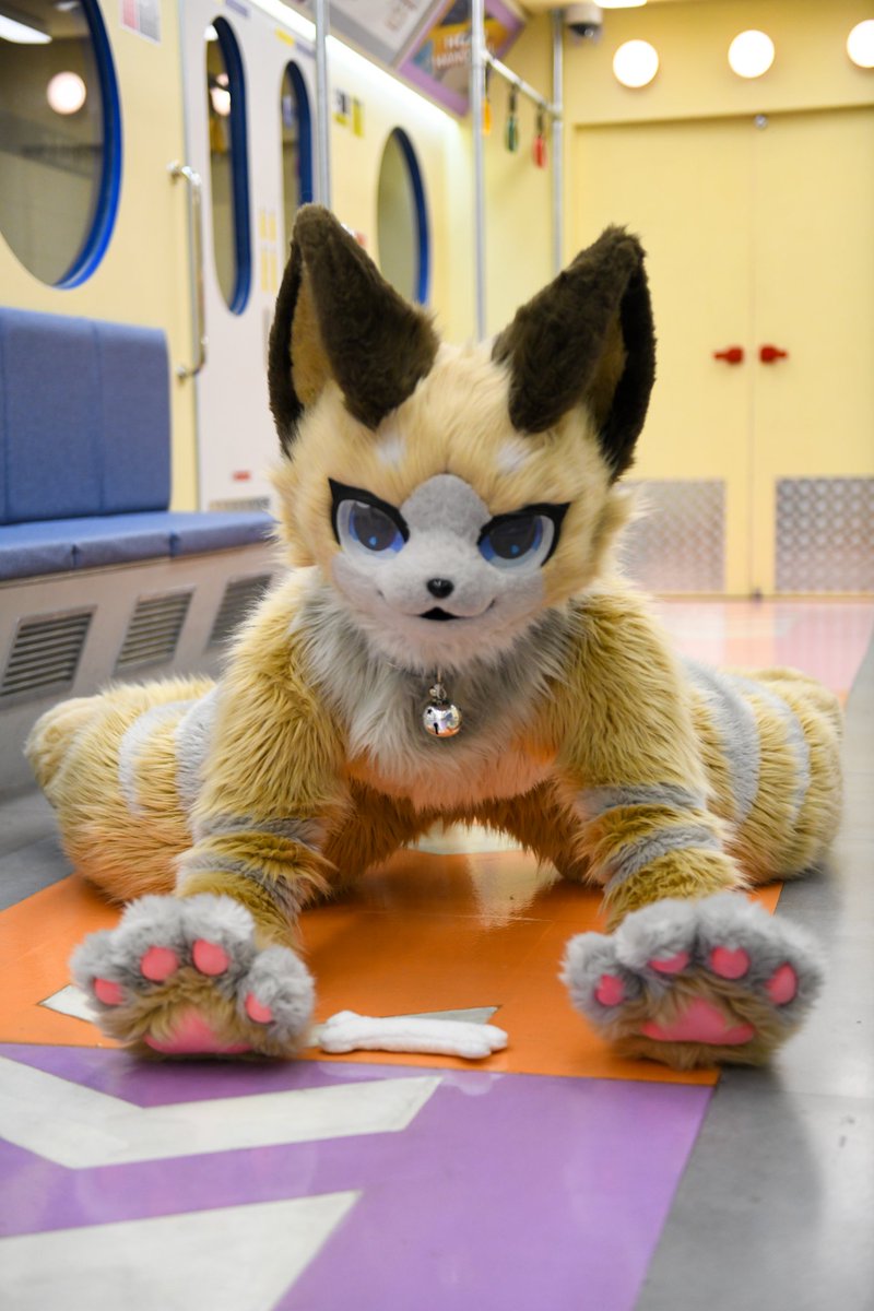 shellpwe's tweet photo. #fursuit #furry  #着ぐるみ

📸 : @Banikelee1112 https://t.co/lRo2bP30Ss