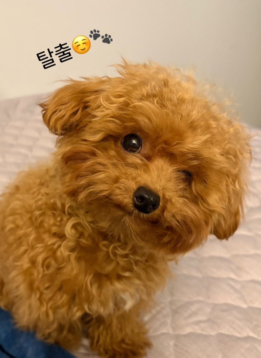 SAMA-SAMA LUCU SAMA-SAMA GEMES KENAPA JADI MIRIPPPP 🥰🥹❤️‍🔥✨