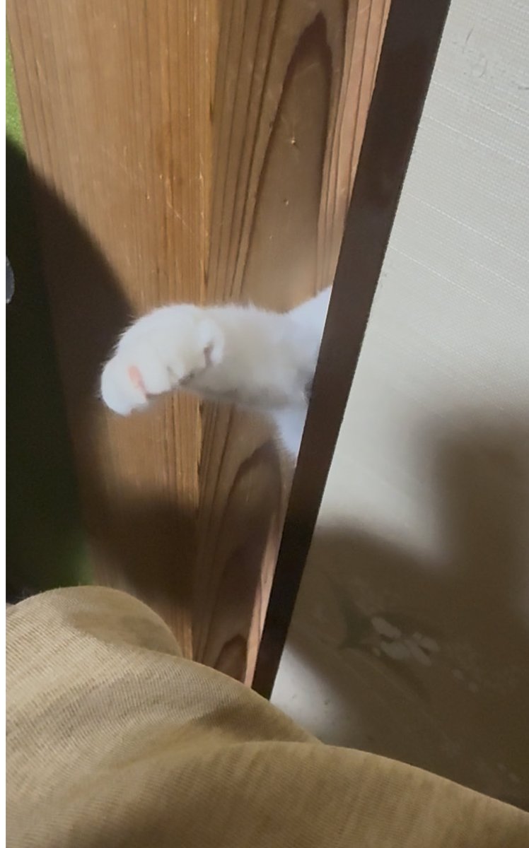 tacksystem's tweet image. 