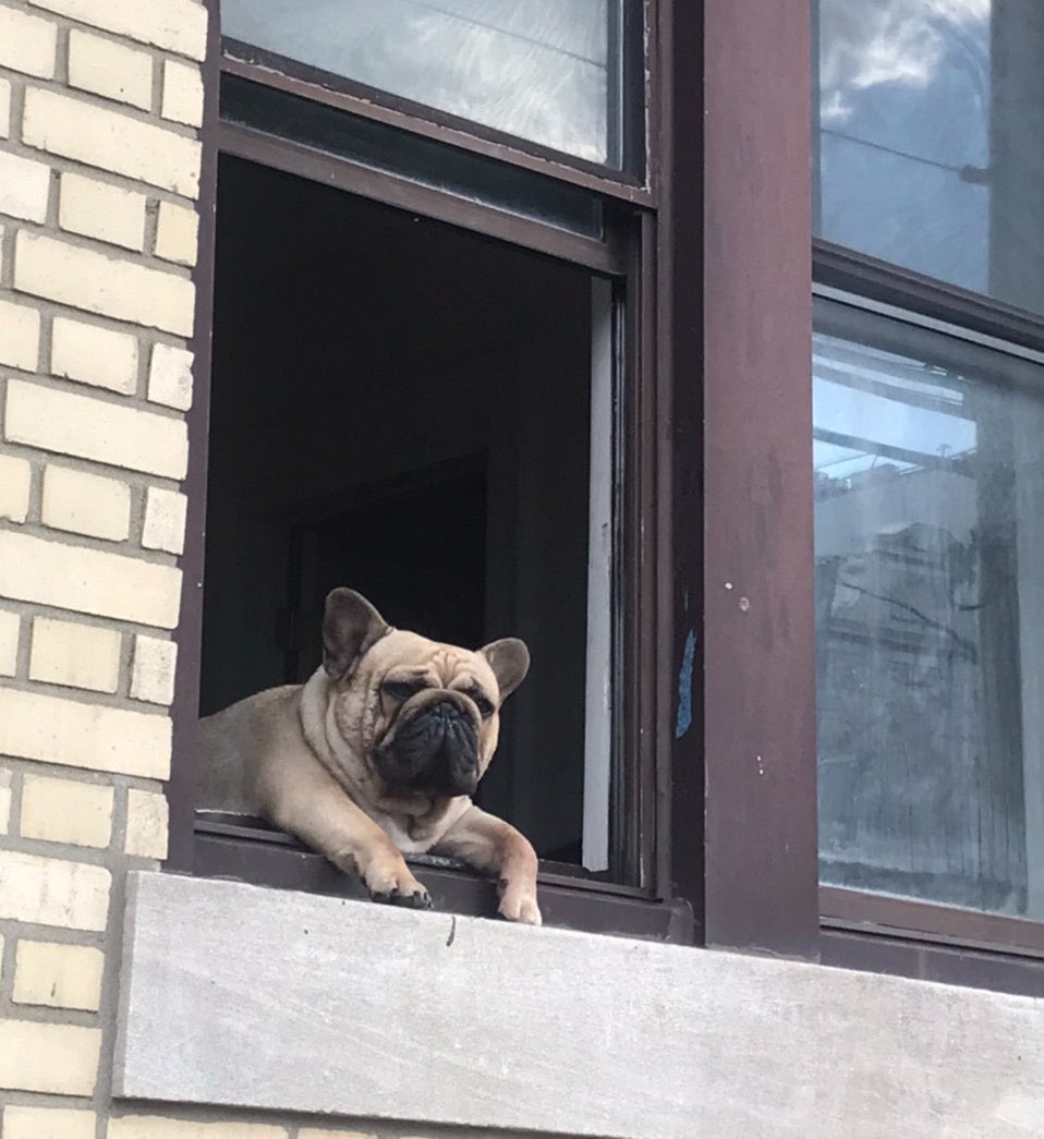 Phía sau ô cửa sổ lôi cuốn hơn là những tin nhắn trong hộp thư đến.

#Four #FourCommunity