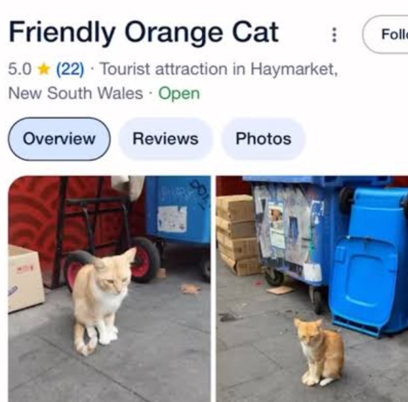 met a celebrity today