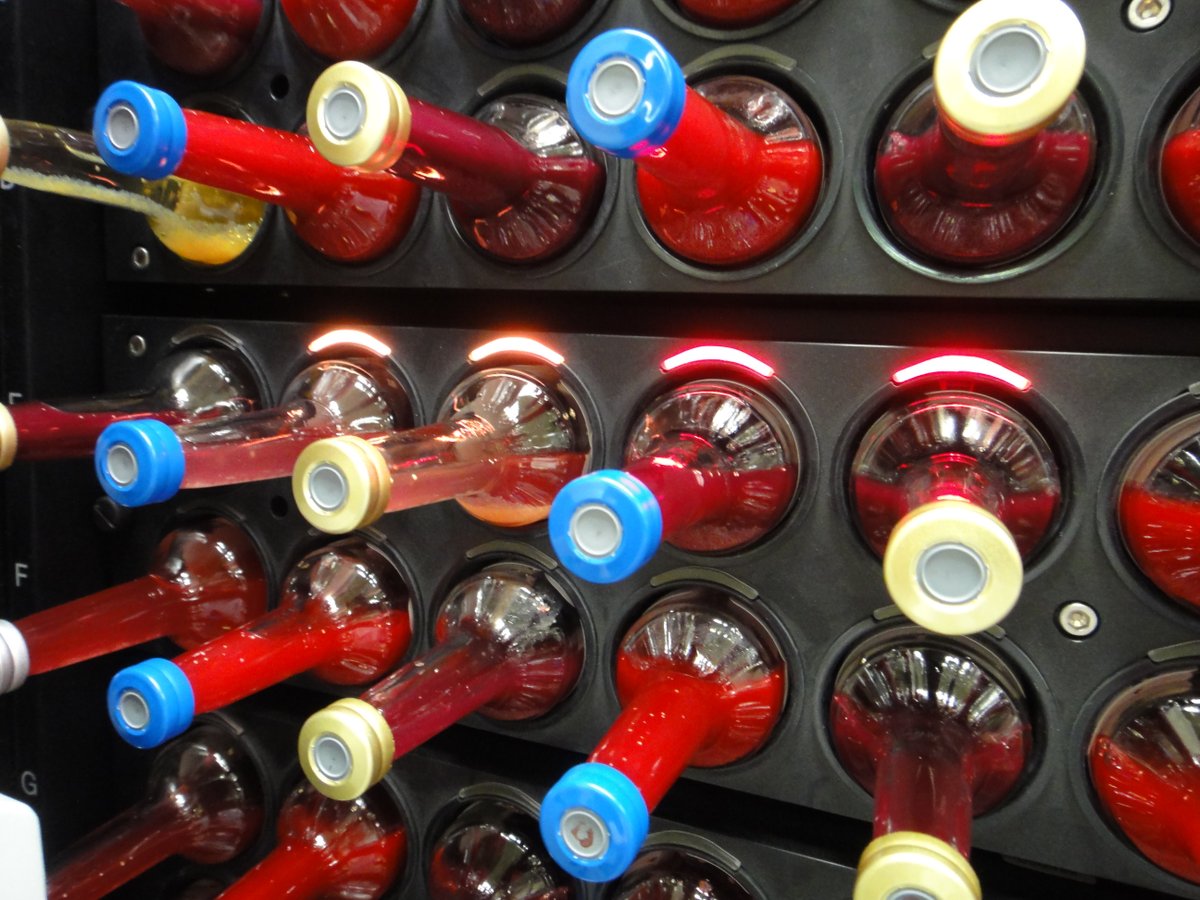 旅先のインドで始まった下痢、持参薬で少し治ったものの、帰国後も１ヶ月近く再発・持続したケースです。最終的には悪寒戦慄で、早朝に救急受診。その夜に当直だった谷口智宏先生が、夜中に細菌検査室を覗いてみると、血液培養ボトル4本中4本が陽性に。翌朝、グラム陰性桿菌を認めました。こ、これは❗️