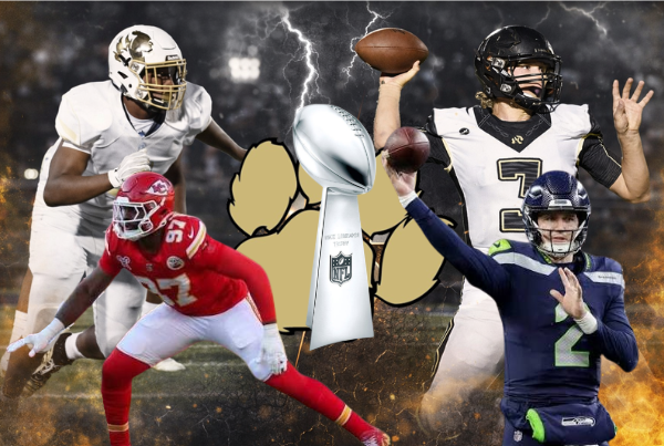 lstigerfootball tweet media